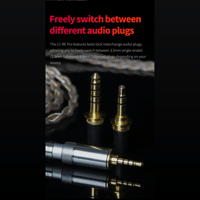 FiiO LC-RE Pro variant 6