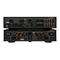 Leema Acoustics Neutron preamp/DAC variant 3