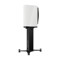 Dynaudio Confidence 20A variant 10