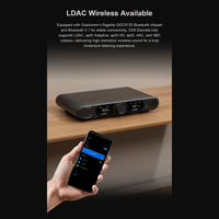 Topping DX9 Discrete variant 11