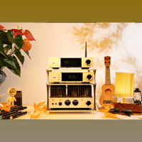 Cayin iDAP-8 variant 19