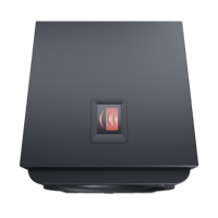 Perlisten R8s variant 13