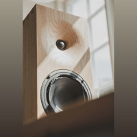 Buchardt Audio E50 variant 14