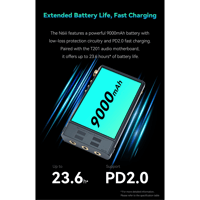 Cayin N6iii T201 variant 22