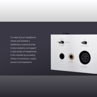 Cayin HA-2A variant 6