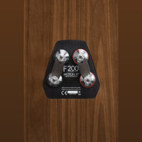 MartinLogan Motion XT F200 variant 46