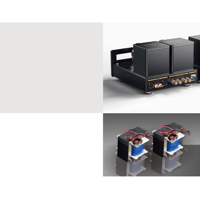 Cayin HA-300MK2 variant 6