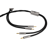 Ansuz Acoustics Speakz - Steel variant 3