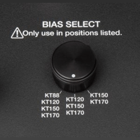 Zesto Audio Bia 200 Select, 100 Watt Class A Stereo Power Amp variant 3