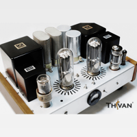 ThivanLabs Special ultimate monoblock 845PP Amplifiers variant 12