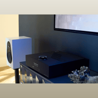 Linn Majik DSM variant 4