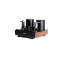 Mastersound Monoblock 845 (pair) variant 3