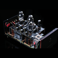 SW1x MPA V “Atlas” PP Mono Power Amplifier variant 6