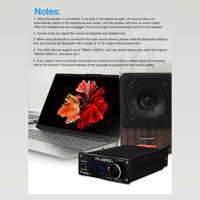 FX Audio D01 variant 15