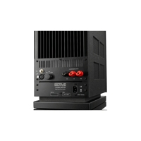 Octave Audio Jubilee 300 B variant 5