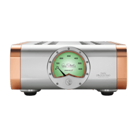 Dan D’Agostino Momentum Z Monoblock Amplifier variant 1