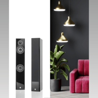 Vienna Acoustics mozart infinity variant 5