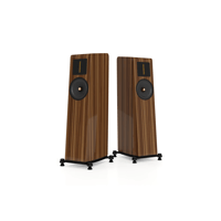 Esprit Audio Amelia variant 1