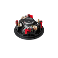 MartinLogan IC6-ST variant 3