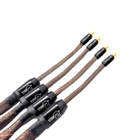 Tara Labs The 2 variant 1