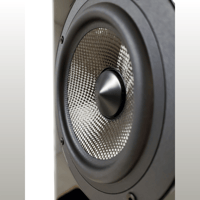 Acoustic Energy AE509 variant 9