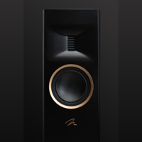 MartinLogan Motion XT F100 variant 29