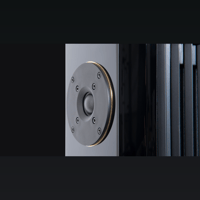 Brodmann F2 variant 2