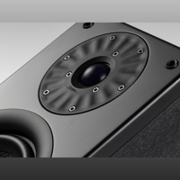Starke Sound Beta5 variant 13