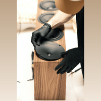 Buchardt Audio A700 LE variant 17