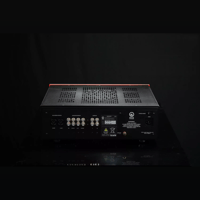 SW1x PRE III Line Pre-Amplifier variant 20