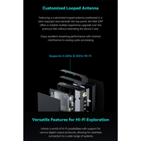 Cayin N6iii R202 variant 14