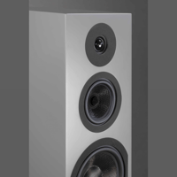 Davis Acoustics Courbet N°8 variant 11