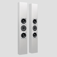 Totem Acoustic Tribe III variant 2