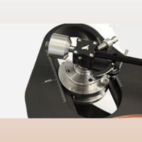 TW-Acustic Raven Anniversary variant 5