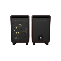 Onkyo GX-30ARC 80th Anniversary variant 7