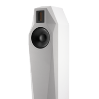 Fink Team BORG variant 2