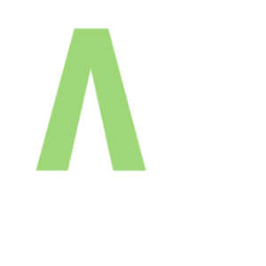 Alex Audio Video logo