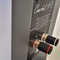 Davis Acoustics Courbet N°5 variant 11