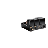 Cayin HA-3A variant 5