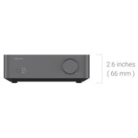 WiiM Vibelink Amp variant 4