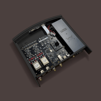 Lumin S2 variant 4