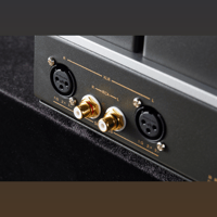 Cayin HA-2A variant 8