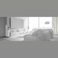 Mission ZX-S variant 9