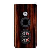 Monitor Audio Platinum 100 3G variant 5