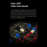 Aune S17 Pro  EVO   Headphone amplifier with AL3 XLR Balanced Male to Female 3-Pin Audio Cable 1 Pair variant 8