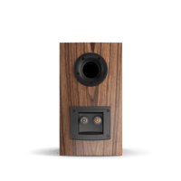 Dali RUBICON 2 variant 2