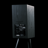 Buchardt Audio Anniversary 10 variant 9