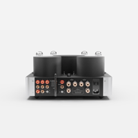 Fezz Audio Silver Luna Prestige variant 4