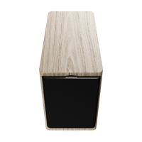 Dynaudio Focus 10 variant 21