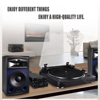 FX Audio BOX01 Phono Preamplifier variant 11